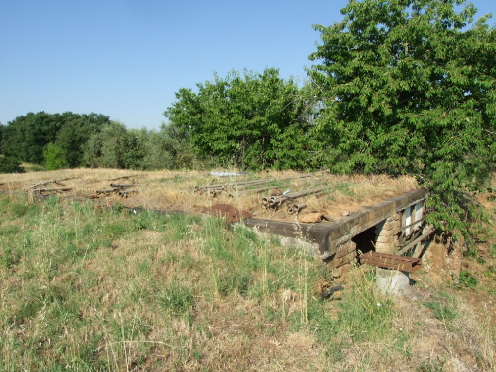 DSCF4844 (FILEminimizer).JPG
